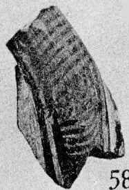 BOWL, FRAGMENT (PROTOATTIC)