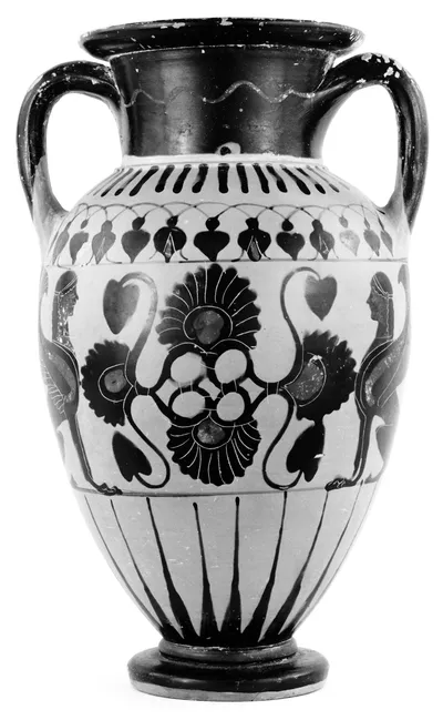 Chalcidian Amphora
