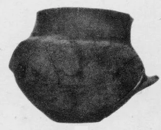 JUG (VILLA NOVA)