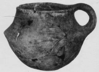 JUG (VILLA NOVA)
