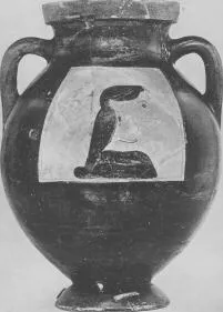 AMPHORA, BELLY, TYPE B (ATHENIAN, BLACK-FIGURE)