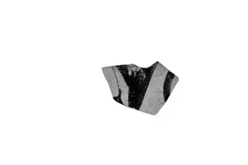 CUP, FRAGMENT (ATHENIAN, RED-FIGURE)
