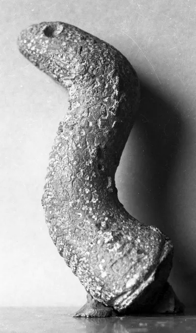 Protome einer Schlange, wohl von einem Henkel