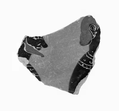 Attic Black-Figure Amphora Fragment