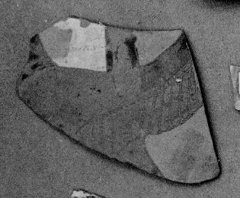 AMPHORA, NECK, FRAGMENT (EAST GREEK, CLAZOMENIAN, BLACK-FIGURE)