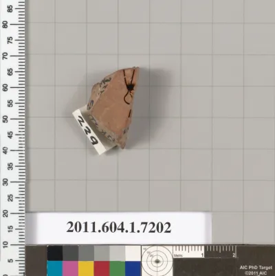 Terracotta fragment of a kylix (drinking cup)