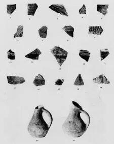 Vase (DANISH PREHISTORIC)
