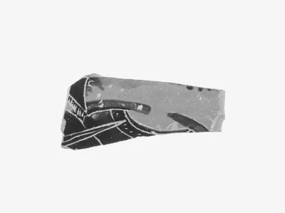 Attic Black-Figure Eye Cup Fragment