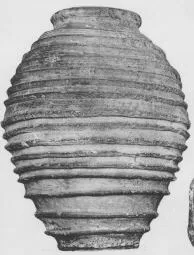 DOLIUM (CYCLADIC)