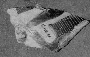 LEBES, FRAGMENT (ATHENIAN, BLACK-FIGURE)