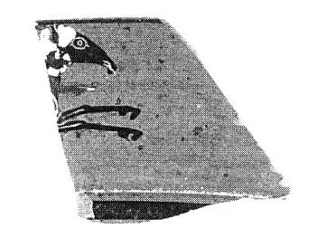 CUP, LITTLE MASTER LIP, FRAGMENT (ATHENIAN, BLACK-FIGURE)