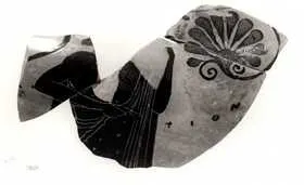 STAMNOS, FRAGMENT (ATHENIAN, BLACK-FIGURE)