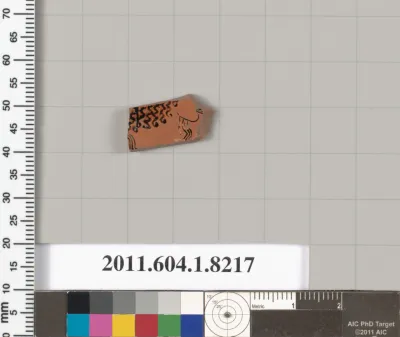 Terracotta fragment of a kylix (drinking cup)