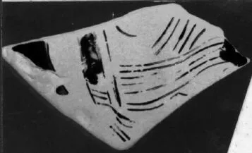 KRATER, BELL, FRAGMENT (ATHENIAN, RED-FIGURE)