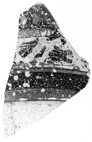 OINOCHOE (?), FRAGMENT (CORINTHIAN, BLACK-FIGURE)