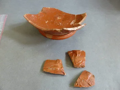 coupe ; fragment