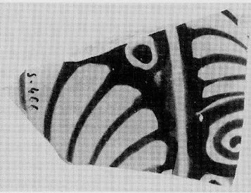 CUP, FRAGMENT (ATHENIAN, RED-FIGURE)