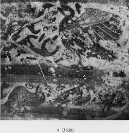 OLPE (ETRUSCO-CORINTHIAN, BLACK-FIGURE)
