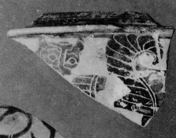 FRAGMENT (ATHENIAN, BLACK-FIGURE)