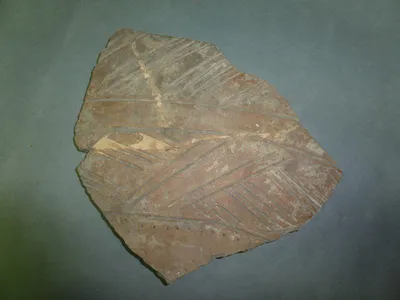 vase ; fragment