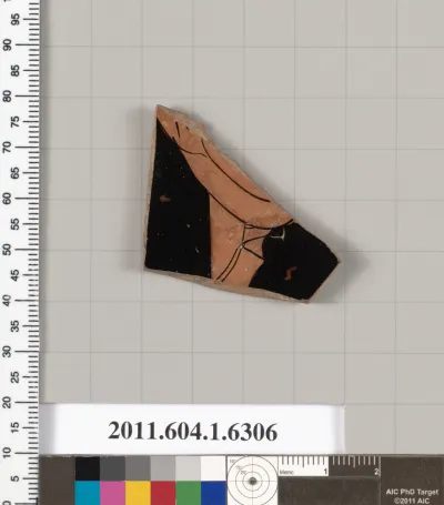 Terracotta fragment of a kylix (drinking cup)