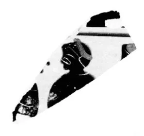CUP DROOP (?), FRAGMENT (ATHENIAN, BLACK-FIGURE)