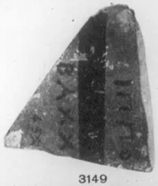 AMPHORA, PANATHENAIC PRIZE, FRAGMENT (ATHENIAN, BLACK-FIGURE)
