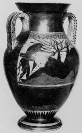 AMPHORA, BELLY, TYPE A (ATHENIAN, BLACK-FIGURE)