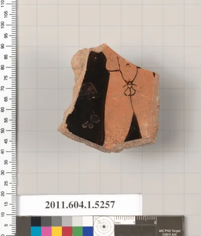 Terracotta fragment of a kylix (drinking cup)