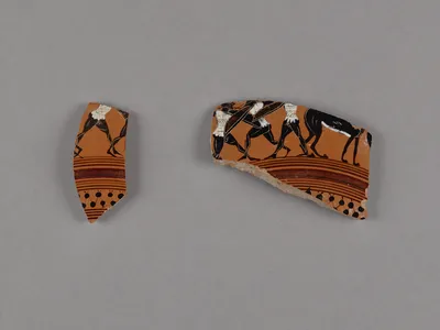 Attic Black-Figure Droop Cup Fragment