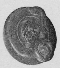 GUTTUS (SOUTH ITALIAN, CAMPANIAN, BLACK GLAZE)