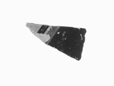Attic Black-Figure Amphora Fragment