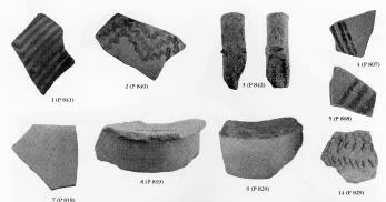 FRAGMENTS (GREEK, NEOLITHIC)
