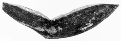 Undecorated Base Fragments