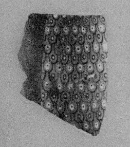 AMPHORA, BELLY, FRAGMENT (EAST GREEK, CLAZOMENIAN)