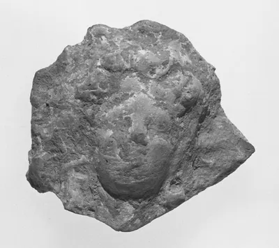 Female Head