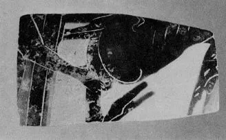 OINOCHOE, FRAGMENT (ATHENIAN, BLACK-FIGURE)