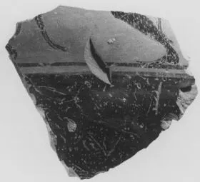 AMPHORA (?), FRAGMENT (ATHENIAN, BLACK-FIGURE)
