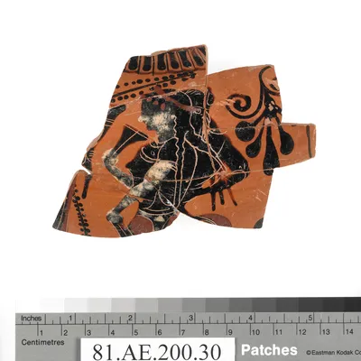 Attic Black-Figure Neck Amphora Fragment (comprised of 9 Joined Fragments)