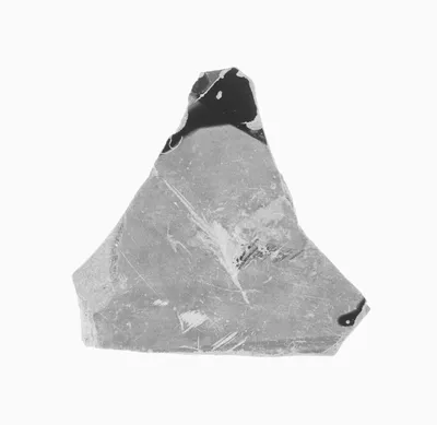Attic Black-Figure Amphora Fragment