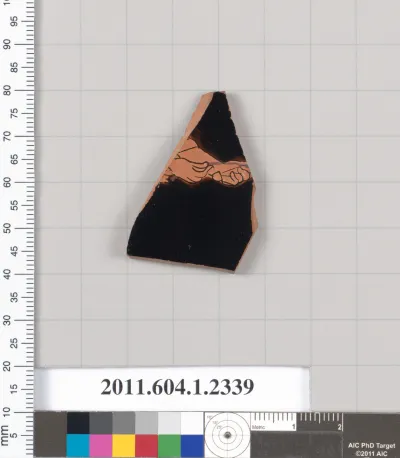 Terracotta fragment of a kylix (drinking cup)