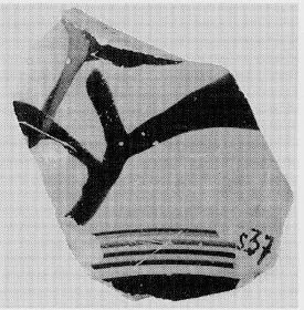 CUP, FRAGMENT (ATHENIAN, BLACK-FIGURE)