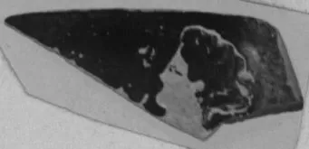 CUP, FRAGMENT (ATHENIAN, RED-FIGURE)