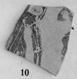 FRAGMENT (ATHENIAN, BLACK-FIGURE)