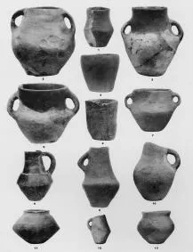 VARIOUS (PLOCNIK)