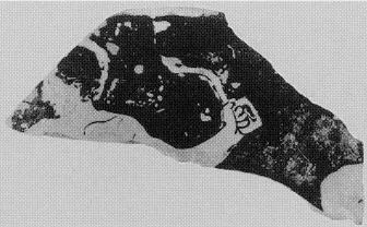 CUP, FRAGMENTS (ATHENIAN, RED-FIGURE)