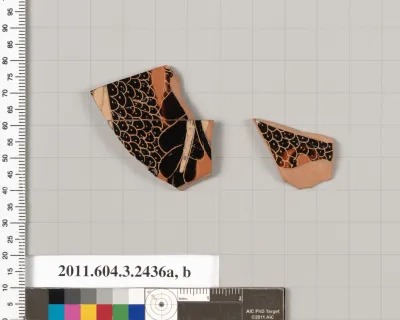 Terracotta fragments of a kylix (drinking cup)