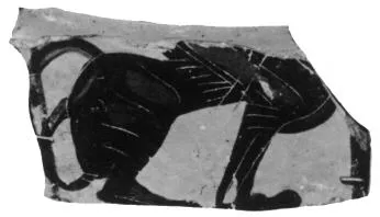 KRATER, COLUMN, FRAGMENT (ATHENIAN, BLACK-FIGURE)