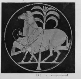 CUP (ATHENIAN, RED-FIGURE)