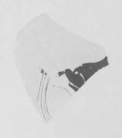 CUP, FRAGMENTS (ATHENIAN, RED-FIGURE)